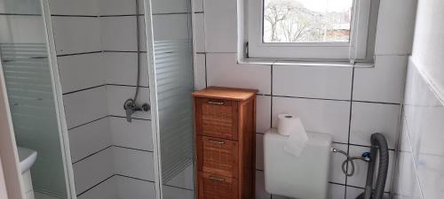 a bathroom with a shower and a wooden cabinet at Ferienhaus Sonne in Nordhausen
