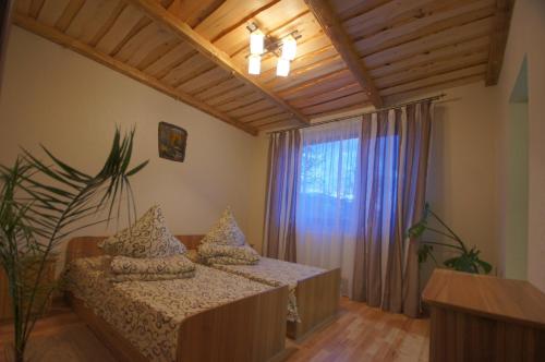 a bedroom with a bed and a large window at U Slavika in Yasinya