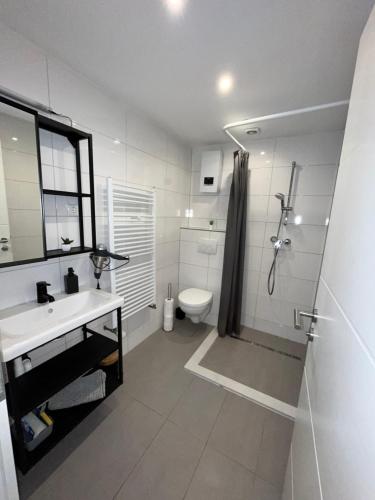 La salle de bains est pourvue d'un lavabo, de toilettes et d'une douche. dans l'établissement Apartment Central 10B 40qm Wi-Fi free Parking calm back house, à Dortmund