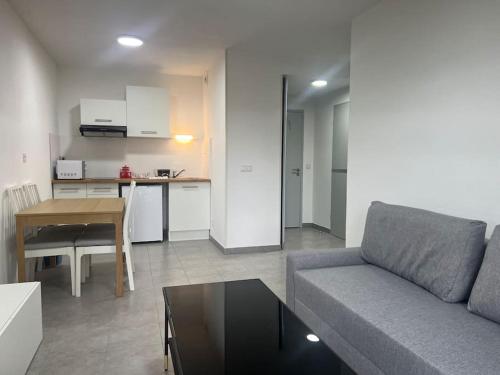 un salon avec un canapé et une table dans l'établissement Le Vienna, à Juvignac