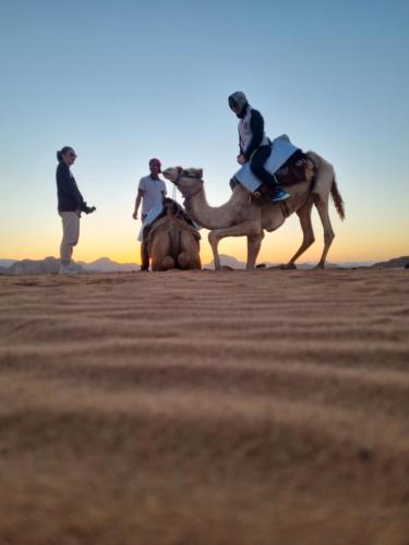 a group of people riding camels in the desert at Kylie magic camp in Wadi Rum