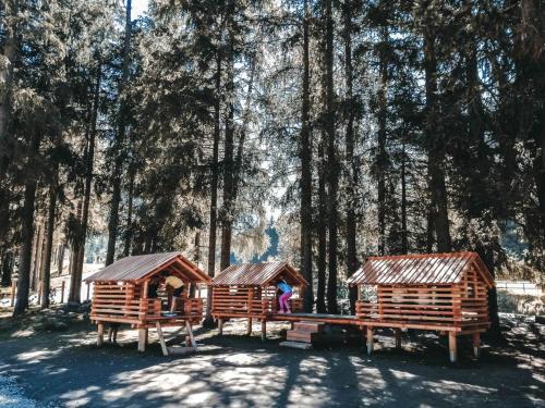twee houten hutten in een bos met bomen bij Casa Dolce Presena in Passo del Tonale