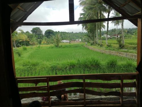 a view from a window of a field at Padi Bungalow in Tetebatu