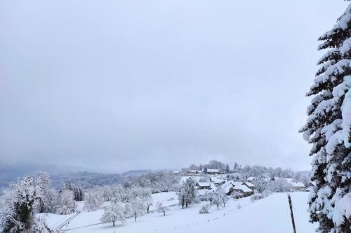 冬のComfortable Chalet - View of Lake Aiguebeletteの様子