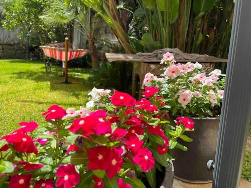 um ramo de flores vermelhas num jardim em Appartamento esclusivo con giardino em Neviano