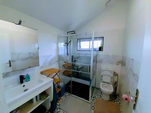 La salle de bains est pourvue d'un lavabo et de toilettes. dans l'établissement Petite Auberge Landaise, Budget Hostel, à Capbreton