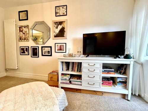 Televiisor ja/või meelelahutuskeskus majutusasutuses The Terrace Garden Flat