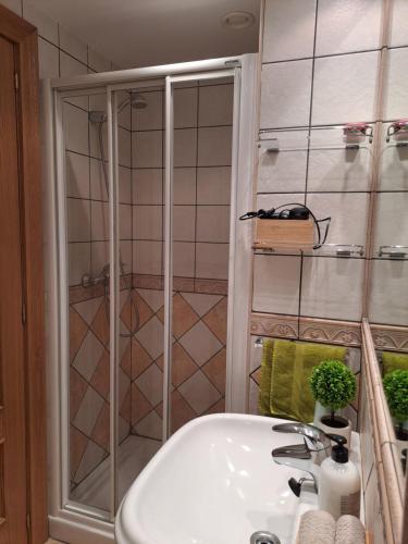 a bathroom with a shower and a white sink at Casa Rural Torreblanca in Urroz
