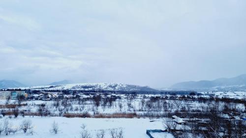 ein schneebedecktes Feld mit Bäumen und Bergen im Hintergrund in der Unterkunft Apart Ali with parking in Zărneşti