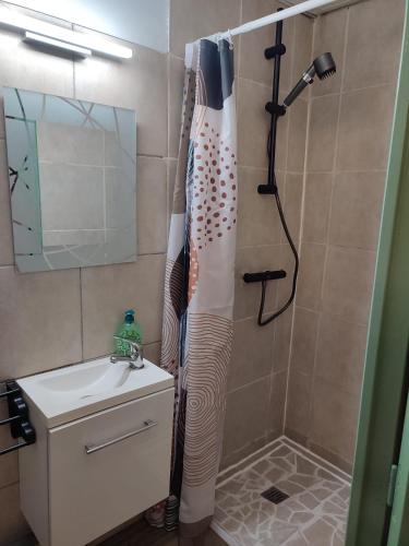 La salle de bains est pourvue d'un rideau de douche et d'un lavabo. dans l'établissement Studio, à Saint-Loubès