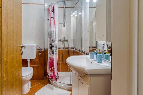a bathroom with a sink and a toilet and a shower at Apartment Mirjana in Karigador in Karigador