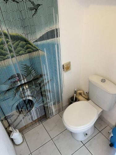 une salle de bain avec toilettes et douche dans l'établissement SUNSET Joli 3 Pièces vue mer piscine Rochelongue Cap d'Agde, au Cap d'Agde