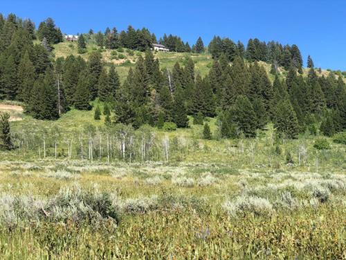 a grassy field with trees on a hill at Breathtaking Views Close to Yellowstone in Island Park