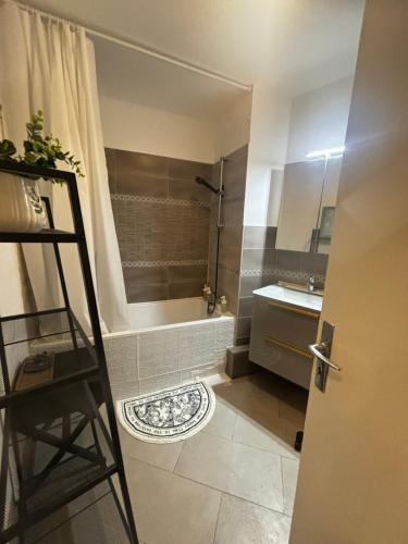 a small bathroom with a shower and a sink at Métro 8,grand balcon,garage,ascenseur,belle vue pouvoir voir Tour Eiffel in Créteil
