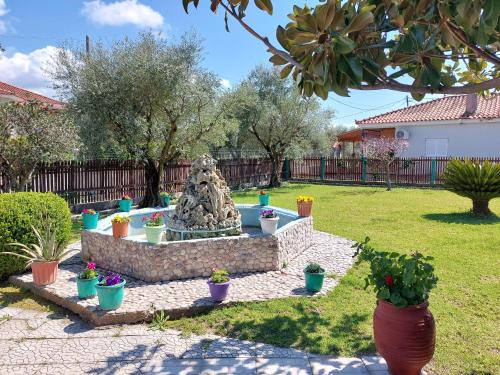 扎哈羅的住宿－Giorgos litsa VILLA，一座种植盆栽植物的院子中的喷泉