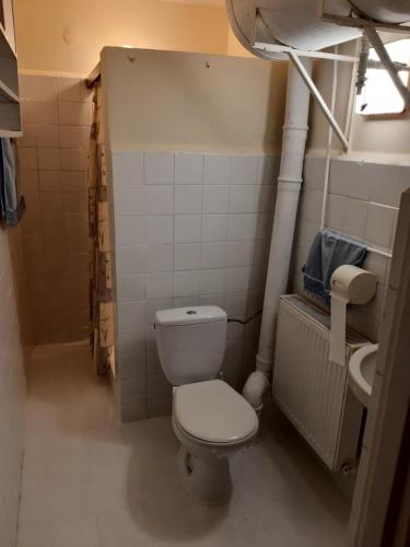 łazienka z toaletą i umywalką w obiekcie Apartament na wsi w Lubniewicach