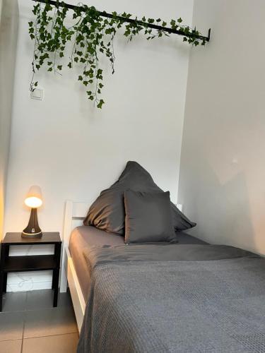 - une chambre avec un lit et une plante suspendue au mur dans l'établissement Apartment Central 10D 55qm Wi-Fi free Parking calm back house, à Dortmund