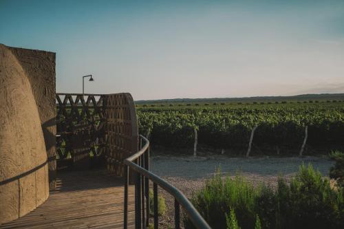 a wooden walkway leading to a field of vines at Chozos Resort in Agrelo