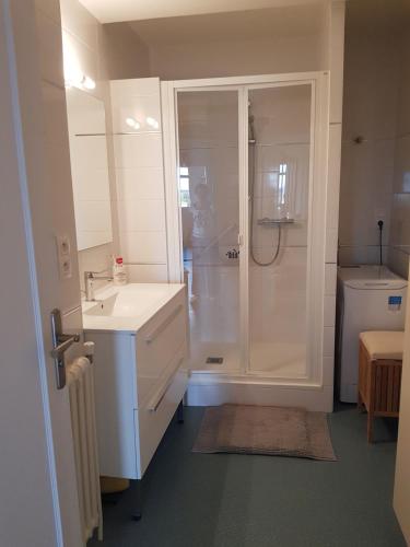 a bathroom with a shower and a sink and a toilet at Chambre Céleste in Tours