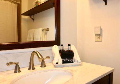 a bathroom with a sink and a mirror at Canal Street Inn in New Orleans