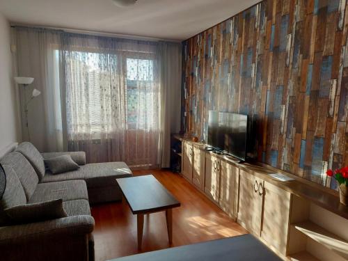 Una sala de estar con un sofá y un televisor de pantalla plana. en Belvedere Holiday Club H41, en Bansko