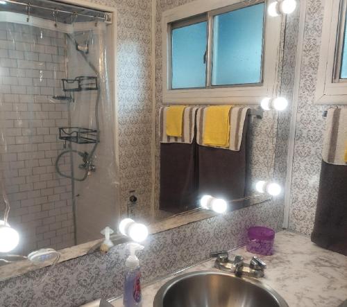 a bathroom with a sink and a mirror and a shower at Cute & Cozy Houseboat Near Chattanooga in Haletown