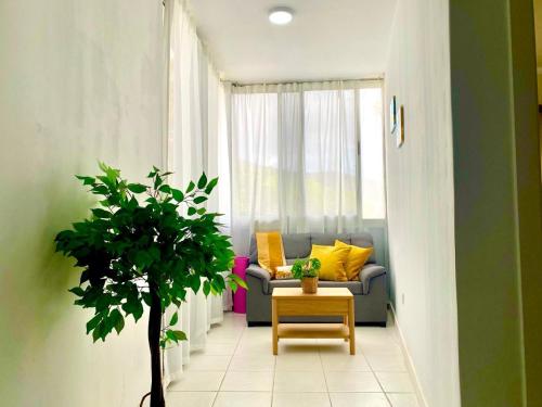 een woonkamer met een bank en een potplant bij Liwia beautiful apartment in the first Oceanline in Los Cristianos. in Los Cristianos