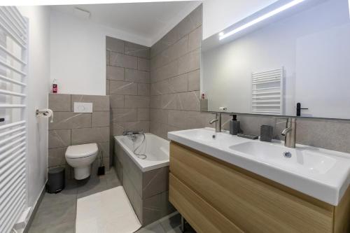 uma casa de banho com um lavatório, um WC e um espelho. em Les Appartements de Clélia em Ax-les-Thermes