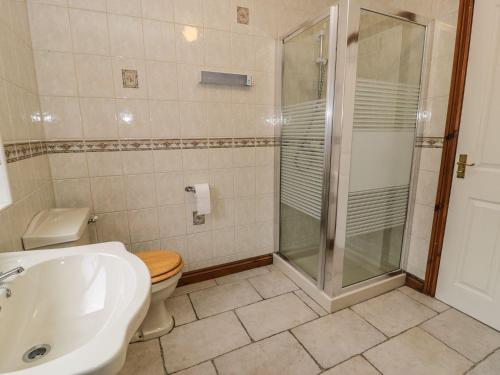 a bathroom with a shower and a toilet and a sink at Bryn Llan in Bala