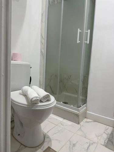 La salle de bains est pourvue de toilettes, d'une douche et de serviettes. dans l'établissement Cosy studio, à Marseille