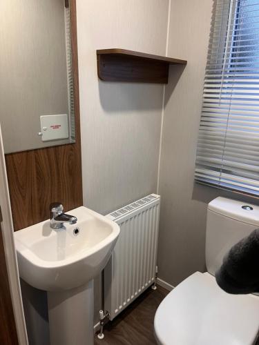 a bathroom with a white sink and a toilet at Seton sands caravan rental in Port Seton