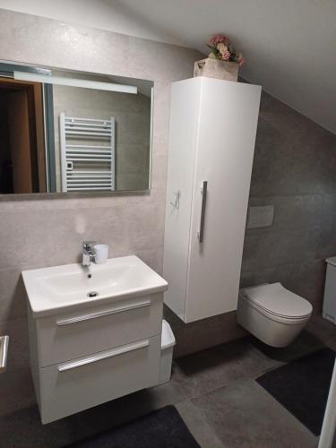 uma casa de banho com um lavatório, um WC e um espelho. em Santa Marina em Vabriga
