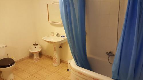 uma casa de banho com um lavatório, um WC e um chuveiro em Spacious holiday home with pool in pretty village em Celles