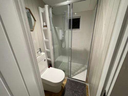 a bathroom with a toilet and a glass shower at Jabba The Hut in Sturminster Marshall