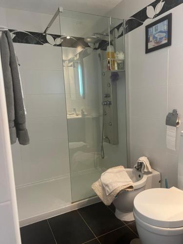 a bathroom with a shower and a toilet at Alvynat Playa Mar de Pulpi in San Juan de los Terreros