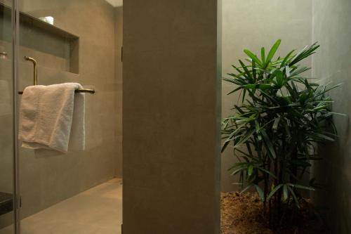 a bathroom with a shower and a potted plant at Jaadooghar Stays, Earth Friendly Stay, Chandigarh in Chandīgarh