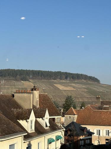 una ciudad con casas y un campo de cultivos en Les Suites Gueguen, en Chablis