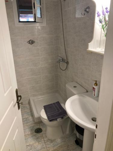La petite salle de bains est pourvue de toilettes et d'un lavabo. dans l'établissement Διαμέρισμα στην Κέρκυρα, à Kanálion