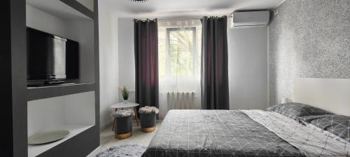 Schlafzimmer mit einem Bett, einem TV und einem Fenster in der Unterkunft Residence Angelina in Arad