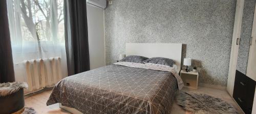ein Schlafzimmer mit einem Bett und einem großen Fenster in der Unterkunft Residence Angelina in Arad