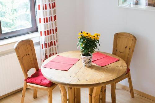 a wooden table with two chairs and a potted plant on it at Ferienwohnung Spiegelberg in Spiegelberg
