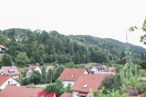 a group of houses with red roofs in front of a mountain at Ferienwohnung Spiegelberg in Spiegelberg
