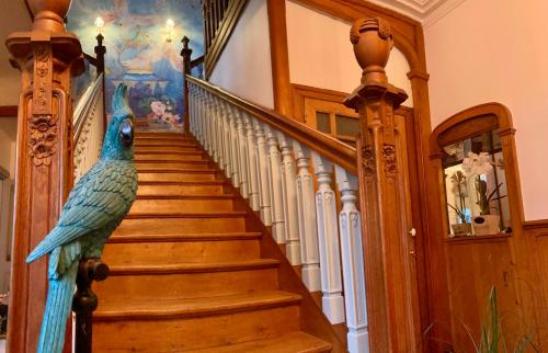 a peacock standing on a staircase in a house at La Villa des Roses Gîte Chambres d'hôtes Piscine chauffée in Luçon