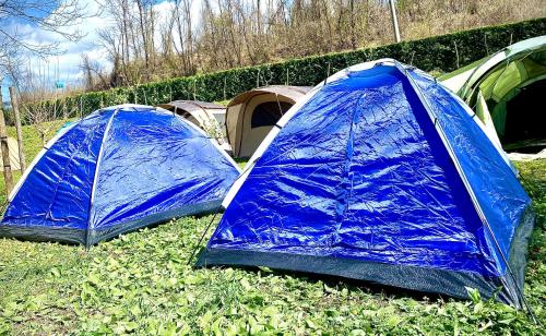 a group of blue tents sitting in the grass at Kamping Lakoza in Rrëshen