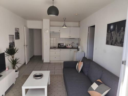 un salon avec un canapé et une table dans l'établissement Appartement Montpellier, à Montpellier