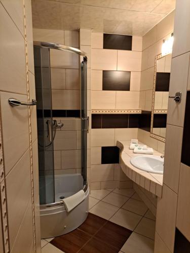 a bathroom with a shower and a sink at Trojak in Mysłowice