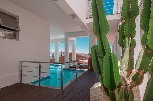 a cactus in a room with a glass railing at Sea Star Lodge in Gansbaai