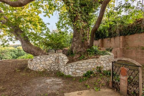 Gallery image of Areti's dream house in Velika