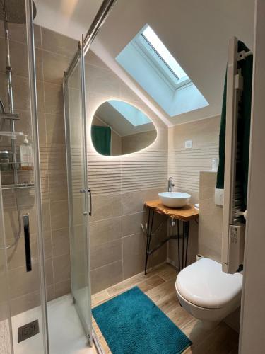 a bathroom with a shower and a toilet and a sink at Maison en pierre avec jacuzzi in Caen