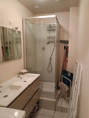 une salle de bain avec douche et lavabo dans l'établissement Mont Dore/Sancy 6 personnes emplacement privilégié, à Le Mont-Dore